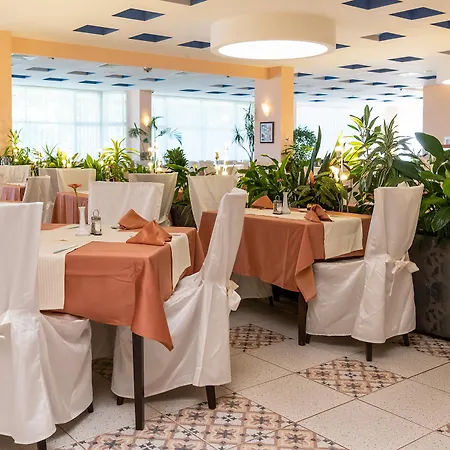 Bourgas 4* Солнечный берег